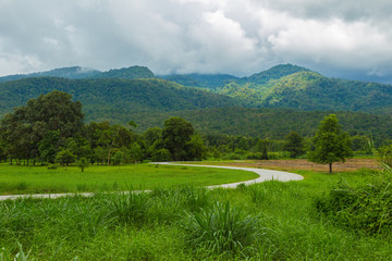 Road inside Huay Tung Tao, Chiang Mai, Thailand