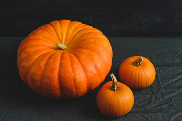 three pumpkins on a black background