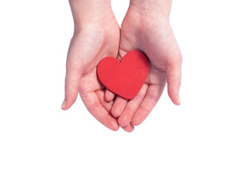 Hands holding heart on white background