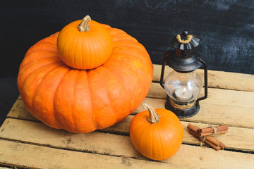 still life of pumpkins