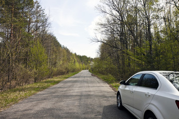white car in a forest