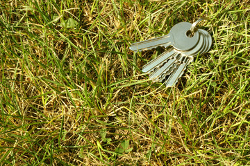 Metal keys in the grass