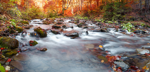 Autumn forest, mountain stream. Beautiful  , rocks covered with moss.  river  rapids and waterfalls. Carpathian.
