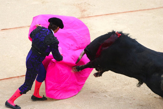 torero face &agrave; un taureau dans une ar&egrave;ne 