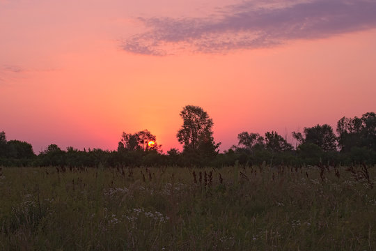 Fototapeta Fabulous sunrise early morning on the field.  Yellow disk of the sun appears from the trees
