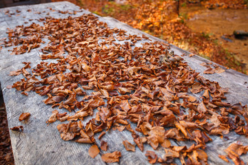 pile of autumn leaves,on a wooden background