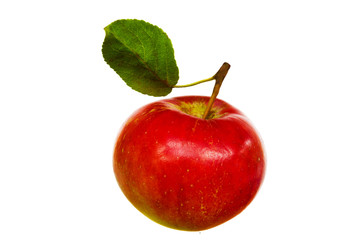 Red apple on white background
