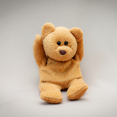 toy teddy bear