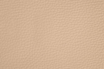 Closeup of ragatta leather background