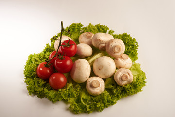 mushrooms and tomatoes on lettuce leaves on a white background