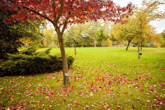 Autumn at Bunny Park