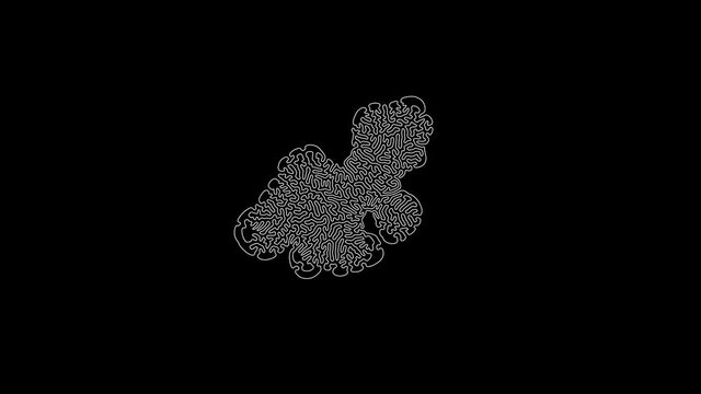 4k organic expanding mask, brain-like pattern filling entire screen with growing motion. Use as revealer, mask, matte, texture, blend, transition