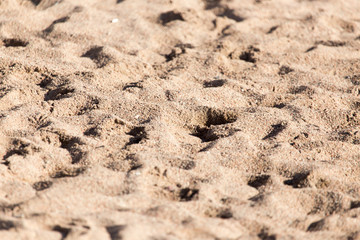 the sand on the beach as background