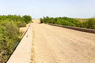 dirt road in the desert
