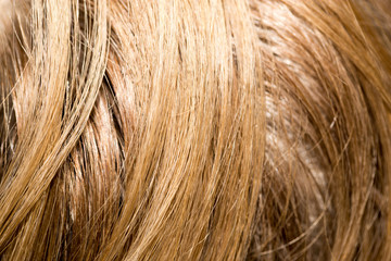 Fototapeta premium background of hair