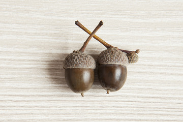 Two brown acorns on a bright background. 