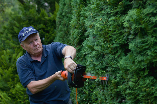 Old man trimming hedge with electric garden scissors, focus on hands 