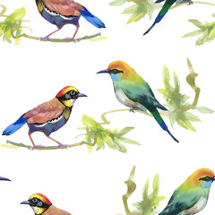 Fototapeta premium Watercolor hand drawn seamless pattern with tropical summer flowers and exotic birds