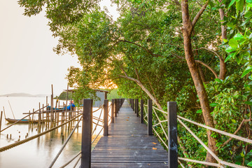 Fototapeta na wymiar Walkway in mangrove forest