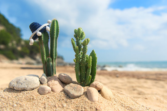 Cactus Plants With Sombrero At The Beach