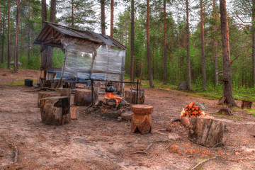 Campfire and stumps near the gazebo in the forest in summer day.