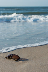 Fototapeta na wymiar Scene from the beach, lost sunglasses.