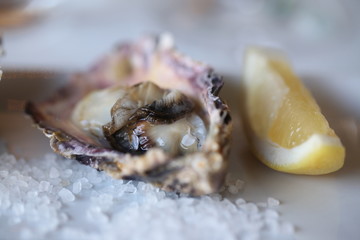 detail - yummy fresh oyster with salt and lemon