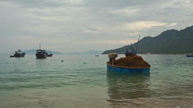 Round Boat with Seaweed at Beach Wave Surf in Bay in Vietnam