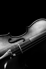 violin & beautiful rim light showing beautiful classic shape. bw filter isolated on black