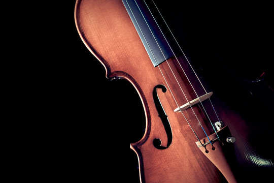 violin & beautiful rim light showing beautiful classic shape. isolated on black