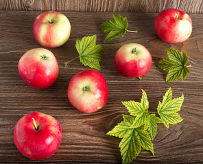 Яблоки и листья на фоне дерева.