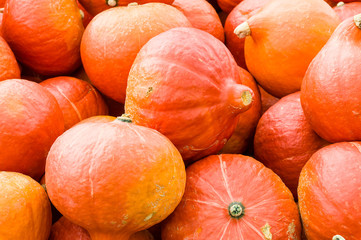 Orange hubbard squash at the market