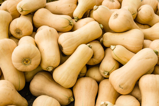 Butternut squash at the market