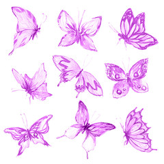 Fototapeta na wymiar Watercolor butterflies set. Purple butterflies on white background. Beautiful fragile creatures for decoration.
