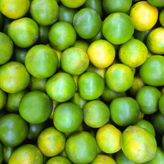 Fresh green lemon