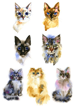 Set of watercolor Isolated hand drawn cats