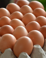 fresh eggs at the market.