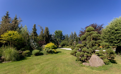 Beautiful summer garden design