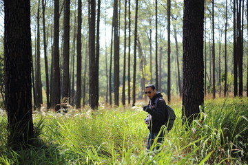 Man and Pine forest in Tung Salang Luang National Park Thailand.