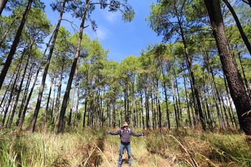 Man and Pine forest in Tung Salang Luang National Park Thailand.
