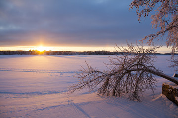 Fototapeta na wymiar A beautiful sunset in Finland during winter time. Some tree branches is in the right side on the shore. The lake is covered with snow. 