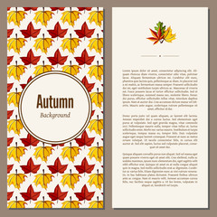 Fototapeta na wymiar Banners set of autumn leaves vector illustration. Background with hand drawn autumn leaves. Design elements. Autumn leaves fall on banner.