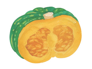 pumpkin. watercolor painting on white background
