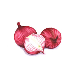 Hand drawn watercolor illustration of red sweet onion isolated on the white background