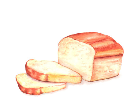Hand drawn watercolor illustration of fresh tasty sliced bread. Isolated on the white background