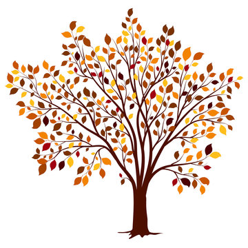 Autumn tree with colorful leaves vector