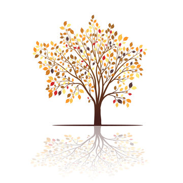 Autumn tree with colorful leaves vector