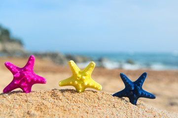 Fototapeta na wymiar Colorful row starfishes at the beach