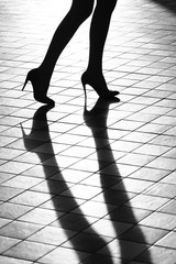 Female legs in glamour shoes