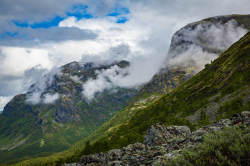 Norway landscape